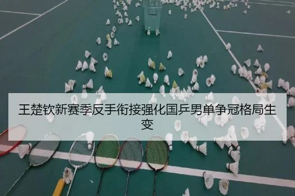 王楚钦新赛季反手衔接强化国乒男单争冠格局生变